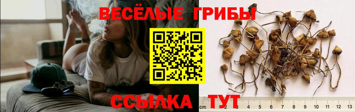 где можно купить наркотик  Галлюциногенные грибы мицелий  Вход с VPN  Калач-на-Дону 